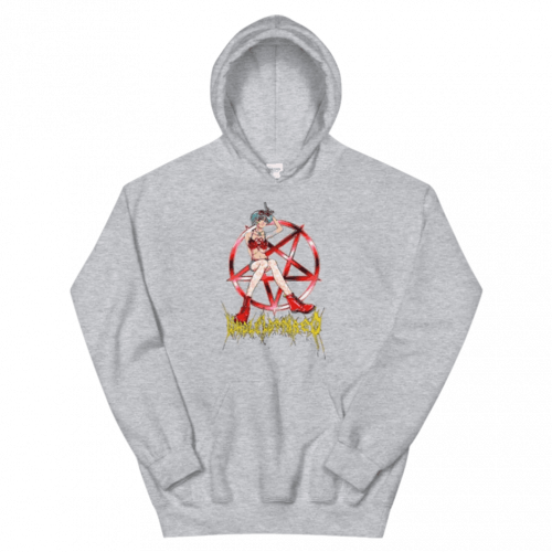 WLR musician Pullover Hoodies